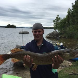 Meet your Posher, Brent